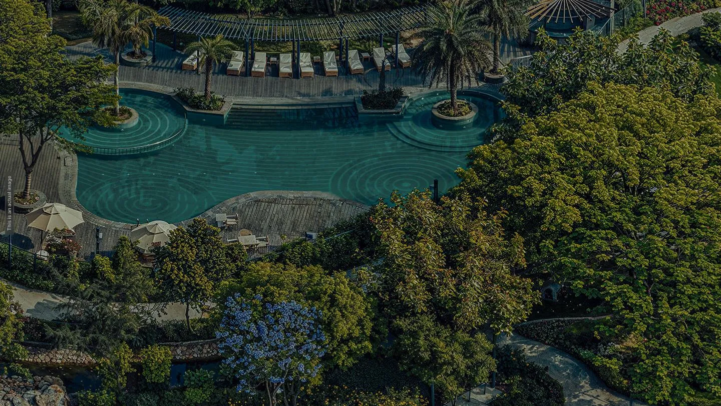 Expansive Green Landscaping